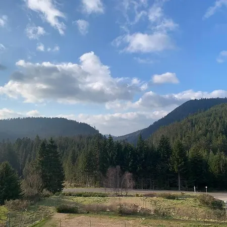 Le Perchoir Du Grand Valtin - Gite 9 Personnes - Altitude 830 Ban-sur-Meurthe-Clefcy Esterno foto