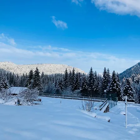 Le Perchoir Du Grand Valtin - Gite 9 Personnes - Altitude 830 Ban-sur-Meurthe-Clefcy Esterno foto