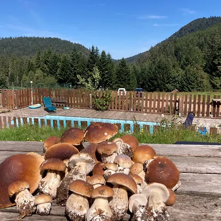 Le Perchoir Du Grand Valtin - Gite 9 Personnes - Altitude 830 Ban-sur-Meurthe-Clefcy Esterno foto