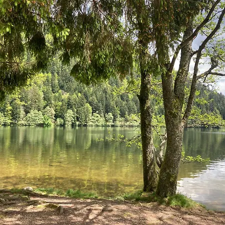 Le Perchoir Du Grand Valtin - Gite 9 Personnes - Altitude 830 Ban-sur-Meurthe-Clefcy Esterno foto