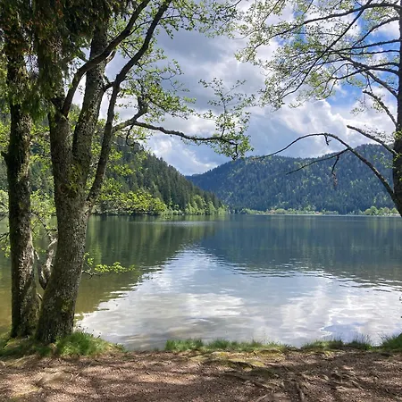 Le Perchoir Du Grand Valtin - Gite 9 Personnes - Altitude 830 Ban-sur-Meurthe-Clefcy Esterno foto
