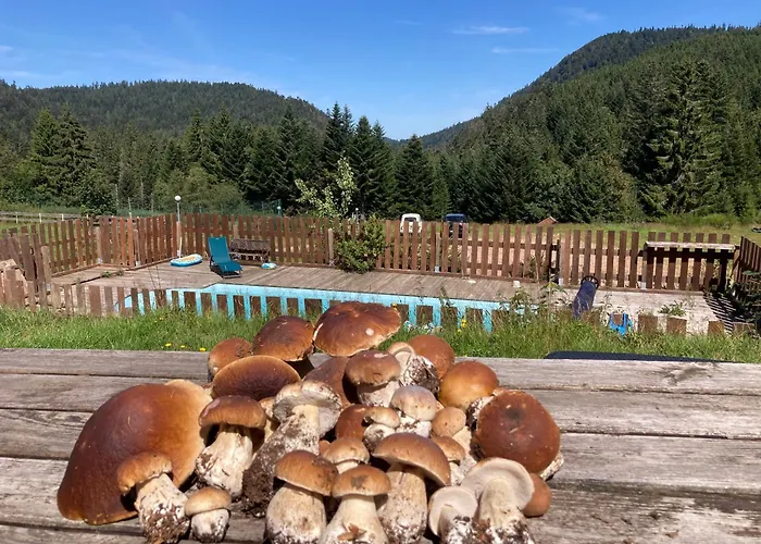 Le Perchoir Du Grand Valtin - Gite 9 Personnes - Altitude 830
