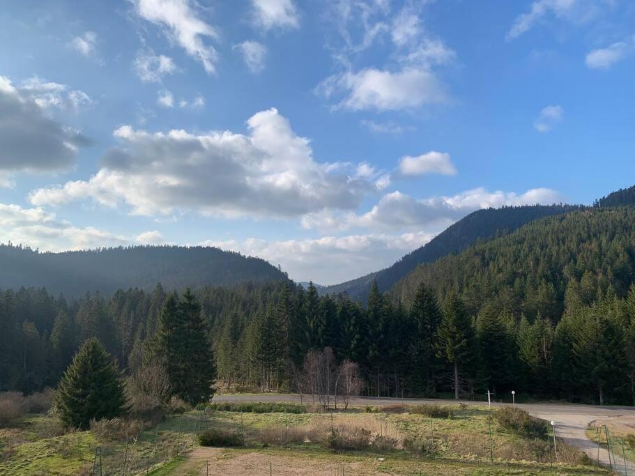 Apartment Le Perchoir Du Grand Valtin - 9 Personnes - Altitude 830 Ban-sur-Meurthe-Clefcy