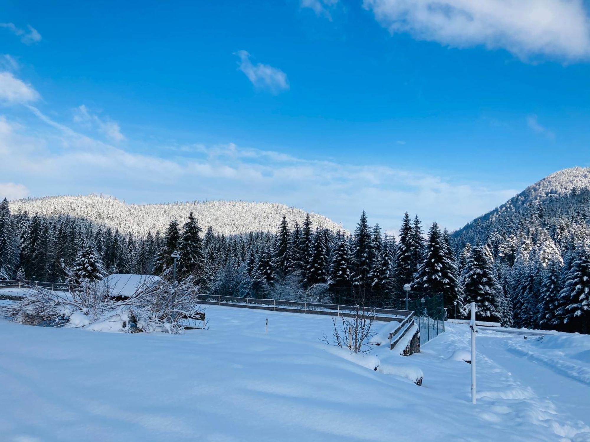 Apartment Le Perchoir Du Grand Valtin - 9 Personnes - Altitude 830
